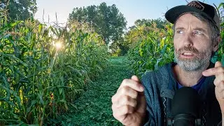 Modeling Farms Off Ecological Systems + Tariffs and Small Farms