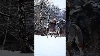 I fly with you 🪽 #horse #animals #equestrian #horseriding #winterwonderland #edit #music #viral #fyp