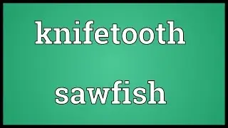 Knifetooth sawfish Meaning