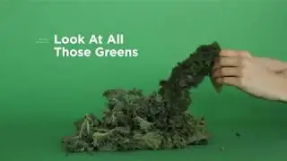Chef'n LooseLeaf Kale, Chard, Collard Greens and Herb Stripper