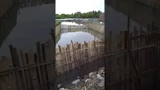 Penampakan Kandang Penggemukan Kepiting Kurus #shorts #crab #kepiting #