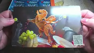 Furries and Wizard Otters? Wilds of Eldraine Set Booster Box - RawCard TCG #mtg #boosterbox