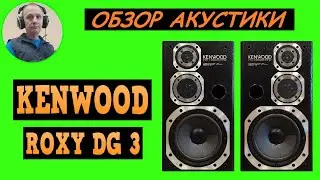 Обзор акустической системы KENWOOD ROXY DG3