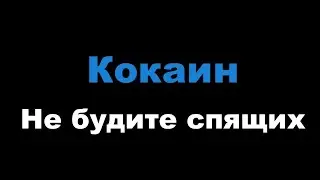 Не будите спящих - Кокаин (Караоке)