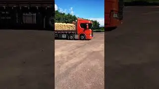 P&eacute; de chumbo desfilando na AP320 linda de mais c &eacute; loko#scania #viral