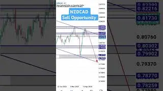 NZDCAD Forex Trade | Sell NZDCAD today #forex #trading #nzdcad #shorts