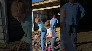 Farm kid&rsquo;s chores never end! #farmlife #cattle #farming #farmkids #comedy #hardwork
