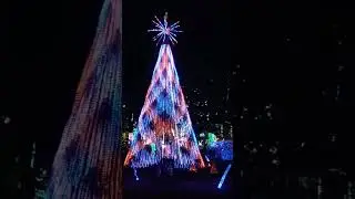 Modern take on vintage holiday song. #happynewyear #сновымгодом #новогодняяелка #rhythm #елка #drums