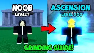 [ASCENSION GUIDE]  Level 1 - 300 in A Hero's Destiny!