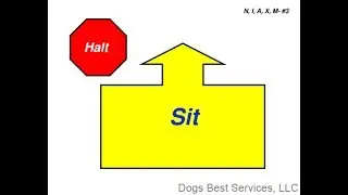 AKC Rally Novice Sign #3 : HALT - Sit
