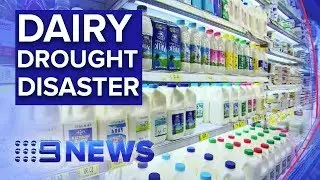 Milk prices expected to skyrocket as drought forces dairy farmers to quit | Nine News Australia