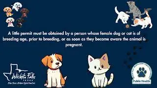 Animal Ordinance: Litter Permit