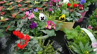 Pentland Plants Looking Good Video 14th October 2021