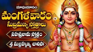 మాఘమాసం నవమి మంగళవారం రోజు సుబ్రమణ్య స్తోత్రాలు వినండి |  Magamasam Navami Sri Subramanya Stotras