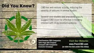 CBD Oil For Cats With Cancer CBD Facts