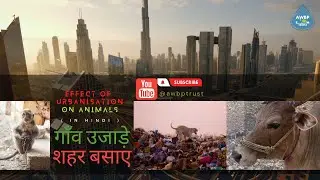 Effect Of Urbanisation On Animals In Hindi | Educational Song | AWBP Trust | Shreyas Dharmadhikari