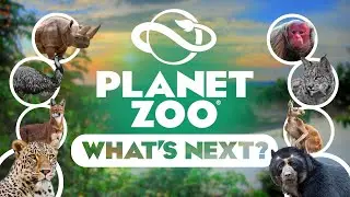 What's Next for Planet Zoo?