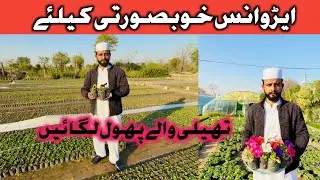 How to Prepare Advanced Flower Garden | Witch Flowers Grow in Winter Season | Top Spring Flowers