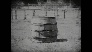 Stop Thief! (1901)