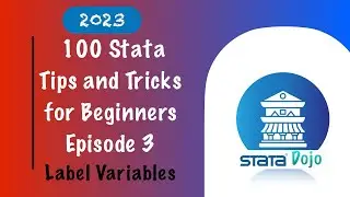 How to quickly label variables in Stata #excel #mexcel #tutorial #education #data #statcat #statcom