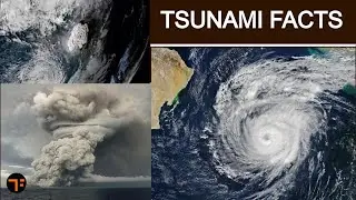 Facts about Tsunami | Hunga Tonga Tsunami | Tsunami warning Tonga volcano Eruption | Facts | FacTime