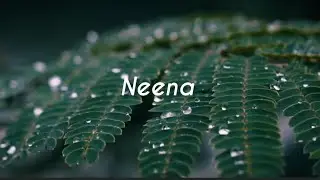 Neena neena song whatsapp status lyrics video #rajbshetty #vijayprakash 