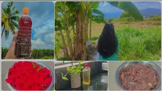 Naan Use Panra Hair Care Products & Tips🌿| Tamil Vlog #HairCareRoutine   #TamilYouTuber #HairSecrets
