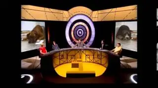 Quite interesting XL   Nobody Knows, A Dog's Guilty Conscience QI