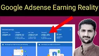 Google AdSense Earning Reality