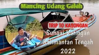 KALTENG - Mancing Udang Galah Kasongan I SUNGAI KATINGAN I Borneo Fishing Adventure