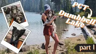 My Silken's First Backpacking Trip! | Part 1