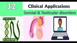 32-Scrotal and testicular disordersإضطرابات كيس الصفن و الخصية-Clinical applications of Histology
