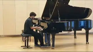 Nati zoltak-Chopin waltz no.14 in e minor