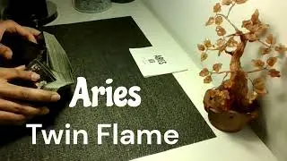 Aries ♈ Twin Flame 💞 DM to DF: What They&rsquo;re Hiding, Feeling & Thinking | Love Tarot Reading