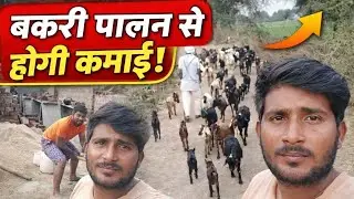 ✅ Goat Farming Business 2026 | Bakri Palan se Mahine ke ₹50,000 kaise kamaye | Hindi