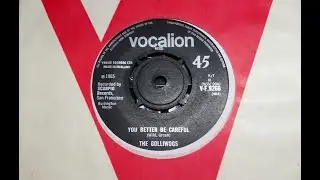 Garage Beat - THE GOLLIWOGS - You Better Be Careful - VOCALION VP 9266 UK 1965 Midtempo Creedence