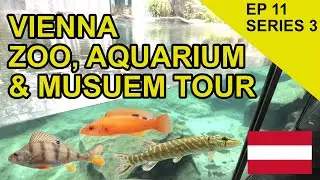 Austrian Fish Attractions!: Species Hunt (EP 51)