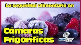 La Importancia De Las Cámaras Frigoríficas  - Unifrio