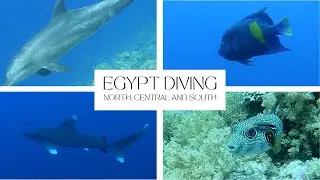 Egypt Diving - North, Central and South Tour (2023)