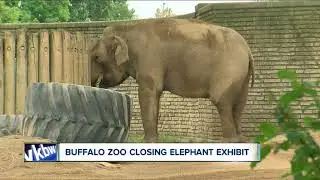 Buffalo Zoo closing elephant exhibit