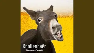 Knollenbaêr