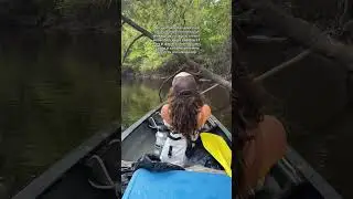 Меня устраивает #приключениянаприроде #походнаканоэ #гребля
