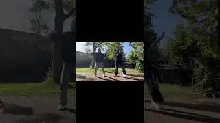 16 Shots - Stefflon Don #Dance #Hiphop #Friends #Tiktoktrend #StefflonDon