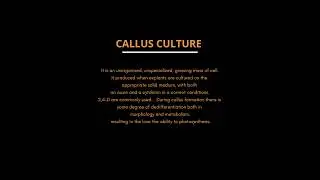callus culture #plantbiotechnology #biology #study #education #shorts