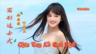 离别过去式 Chia Tay Là Quá Khứ (节奏氛围版) 励志豪/神勇尼尼 Hot Tikok Douyin 2025 #离别过去式