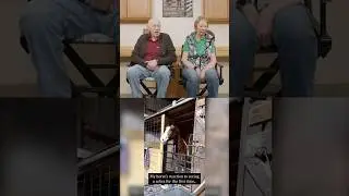 Dr. Pol Reacts - Horse Meets Zebra&hellip; and Loses His Mind! 🤯🦓#drpol #horses