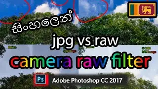 Colour your photos - camera raw filter - Photoshop සිංහල tutorial EP3 🇱🇰