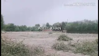 SWAT IN MALAMJABA