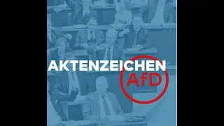 Rechte Gewalt, Neonazis, Faschisten und die AfD mittendrin!!! #fckafd