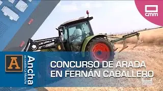 Un clásico de Fernán Caballero: el concurso de arada | Ancha es Castilla-La Mancha